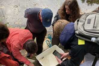 Youth forum at Gwaith Powdwr, looking at a newt