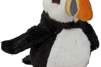 Puffin