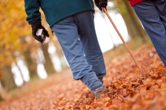 Walking in woods