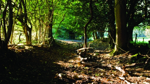 Aberduna Nature Reserve