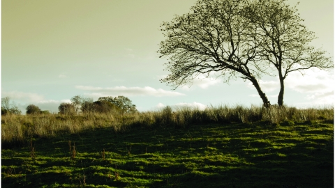 Blaen-y-Weirglodd Nature Reserve