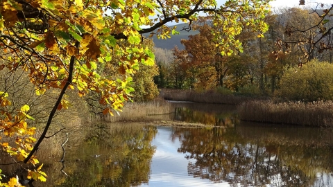 SpinniesAberogwen Nature Reserve