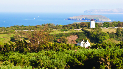A view across the reserve of Mariandyrys, showing vibrant green fields and trees with a small white house, and a white windmill sticking up out of the landscape, both shining in the bright sunlight. Behind the fields is a mid blue sea scattered with little white sailing boats. On the right hand side Puffin Island and the Great Orme take up most of the water, and are slightly hazy through so much distance and bright sunshine.