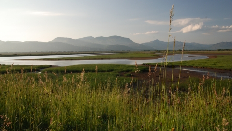 Traeth Glaslyn Nature Reserve