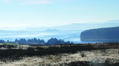 Gors Maen Llwyd Nature Reserve