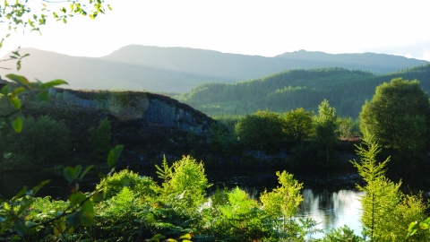 Cors Bodgynydd Nature Reserve