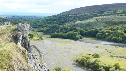 A quarry area now overgrown with vegetation, trees and other larger plants, but still with large bare patches of ground. To the left there is a steep rockface, with grasses growing everywhere. To the right hills and woodlands rise up to enclose the area. In the very far left background a town can be seen, along with fields fading into the horizon and meeting the clouds.