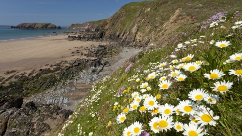 coast