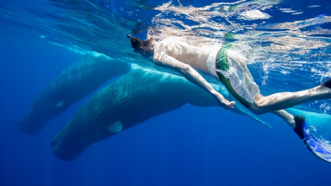 The Ocean's Skin