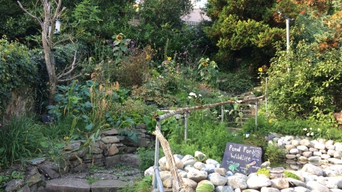 Llys Garth wildlife garden