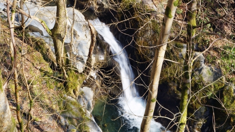 Abercorris Nature Reserve