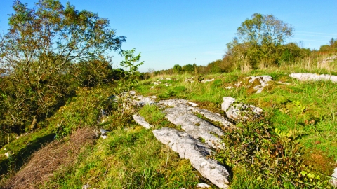 Aberduna Nature Reserve