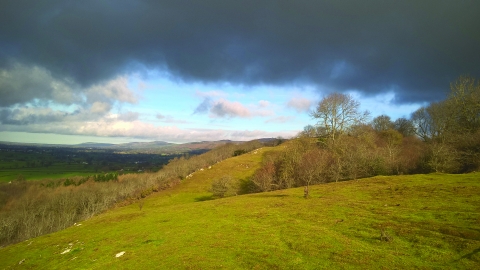 Graig Wyllt nature reserve