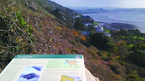 Gogarth Nature Reserve panel