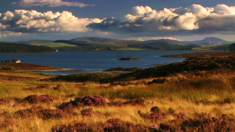 Gors Maen Llwyd Nature Reserve