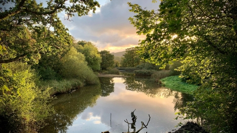 One of the large pools at Spinnies Aberogwen nature reserve. The water is surrounded on all sides by vegetation and large trees, at the very bottom of the picture, a dead branch juts out into the water as a perch for the local kingfishers. The picture is framed on both sides by large trees in full leaf overhanging the view point. On the horizon there are hills visible through a gap in the trees. The sky is blue, with lots of grey/ white clouds, all highlighted in yellow from the sun behind them. All the col