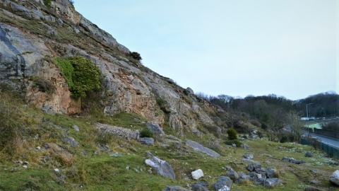 Rhiwledyn