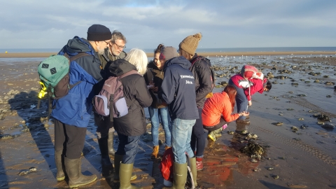 Survey Saturdays with NWWT Living Seas Wales