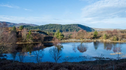 Cors Bodgynydd Nature Reserve