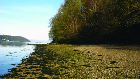 Nantporth Nature Reserve