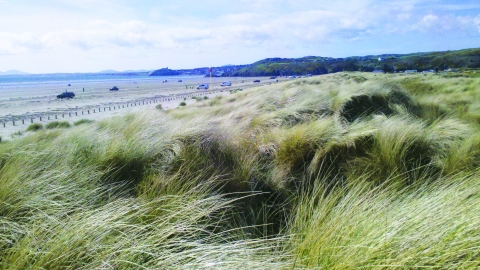 Greenacres Nature Reserve