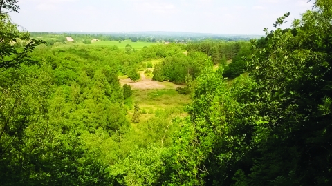 Marford Quarry Nature Reserve