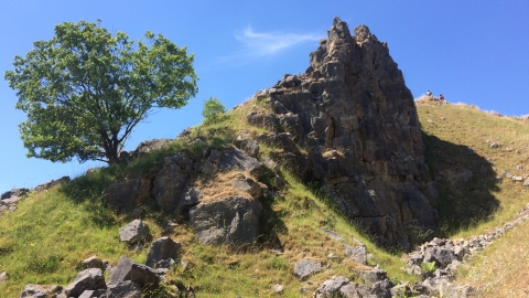 A lone tree sitting on the side of a hill, lots of bare loose rock is visible between the grass and a large cliff face forms the peak of the hill. The sky is bright blue with almost no cloud.