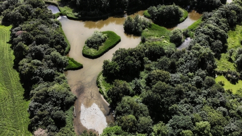 An arial view of the Spinnnies nature reserve. The large shallow pool of the reserve is outlined with thick tree cover. The islands in the pool are covered with vegetation, and the bottom of the pool is shallow enough to be seen in places.