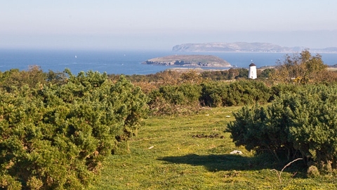Somewhere on Anglesey
