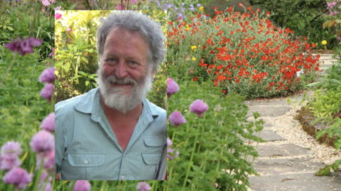 wildlife gardening conwy branch