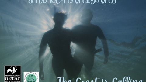 Shore-nanigans/ Miri-Morol 6th-8th August