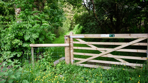 Cors y Sarnau Nature Reserve_Damian Hughes