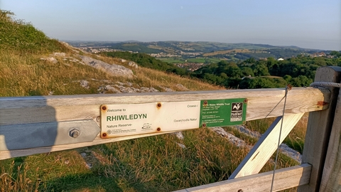 Rhiwledyn