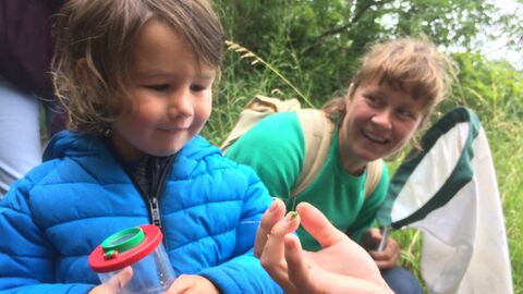 A small child holding a bug pot, looking at a grasshopper on an adults hand in front of them. Another adult holding a bug sweep net is crouched behind them looking at the child. They are at the edge of a field, with trees and long grass behind them.