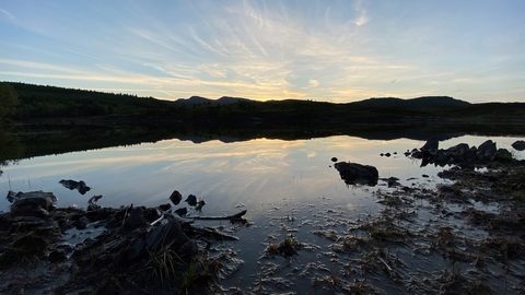 Cors Bodgynydd