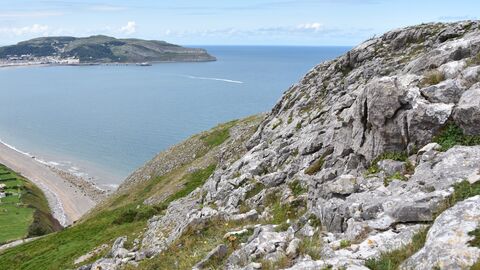 Limestone Grassland (Rhiwledyn) 