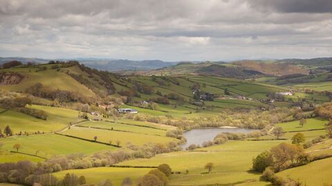 Peter Cairns/2020VISION