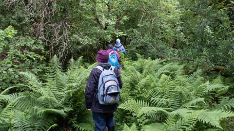 Bryn Ifan Bioblitz June 2024