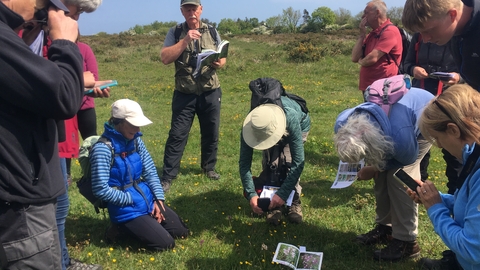 A group of 10 people, in a semi circle, in a field, with ID guides and phones. One person is kneeling and 2 are bending down to look at the flowers in the grass and take pictures of them.