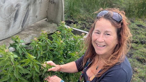 Jules Cooper, a lady with reddish brown hair and lightly tanned white skin, wearing blue jeans and a charcoal grey top. She smiles at the camera while kneeling down and handling a plant growing from the back of a wooden bench in a field.