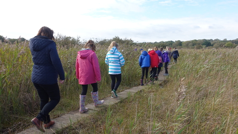 Cors Goch school visit on boardwalk