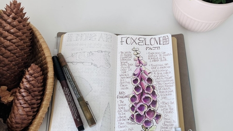 Nature journal, foxglove