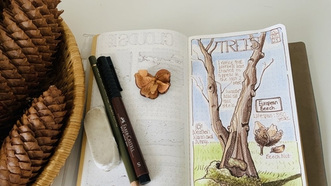 Nature journal, trees