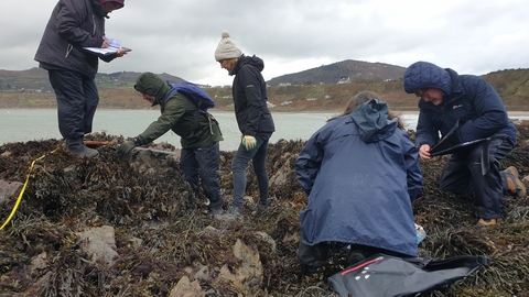 Surveyors Shoresearch Nefyn Nov2024