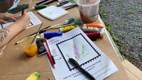 People create drawings of plants and fungi on a table with paints, pens, and pencils