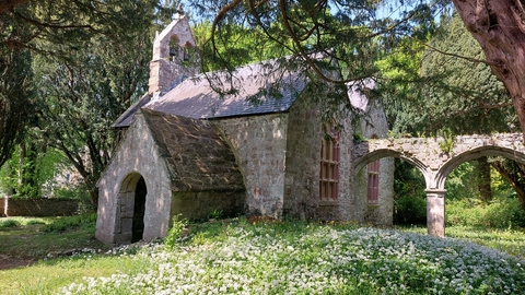 Coed Porth-aml
