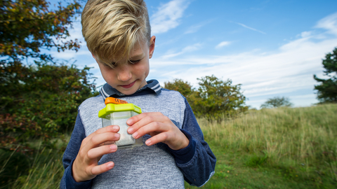 A young boy wearing grey and blue, stood in a field holding a clear plastic bug pot, looking into the yellow and orange magnification lid.