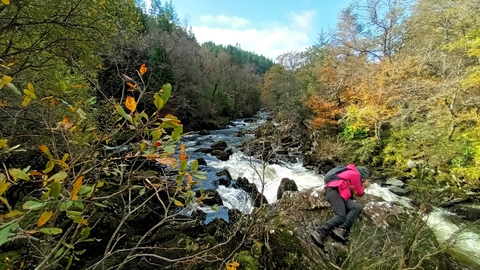 A river, with lots of large dark rocks and a series of rapids. The banks are steep and rocky, covered in dense autumn coloured trees. A person in red lies on a large rock, looking down at the river to take a picture with a camera.