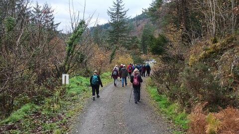 A group of around 20 people dressed for cold weather, walking along a wide path with tall vegetation on both sides. There are evergreen trees, dried brown ferns, and bare branches of late autumn
