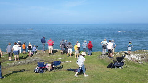 Picnic with a porpoise